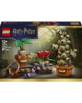 Конструктор LEGO Harry Potter - Растения за часа по билкология в Хогуортс (76474)