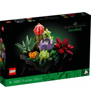 Конструктор LEGO Icons Botanical - Сукуленти (10309)