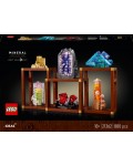 Конструктор LEGO Ideas - Колекция минерали (21362)