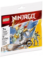 Конструктор LEGO Ninjago - Ледено драконово създание (30649)
