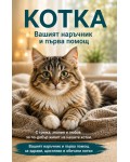 Котка: Вашият наръчник и първа помощ