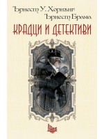 Крадци и детективи