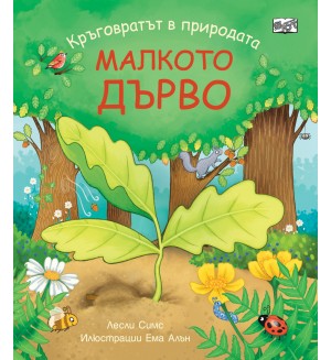 Кръговратът в природата: Малкото дърво