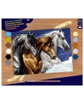 Творчески комплект за рисуване KSG Crafts – Диви коне