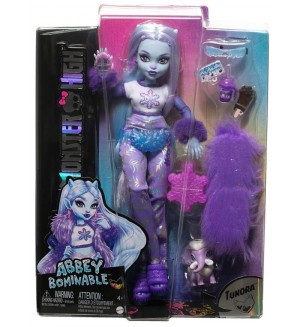 Кукла Monster High - Аби, с аксесоари