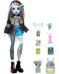 Кукла Monster High - Франки Щайн, с домашен любимец и аксесоари, 27 cm