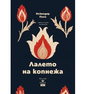 Лалето на копнежа