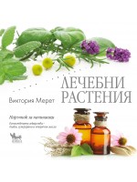 Лечебни растения: Наръчник за начинаещи