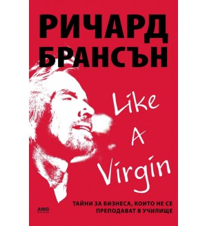 Like a virgin: Бизнес тайни, които не се преподават в училище