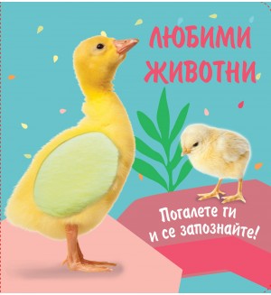 Любими животни: Погалете ги и се запознайте! Пате