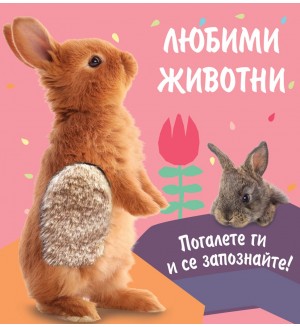 Любими животни: Погалете ги и се запознайте! Зайче