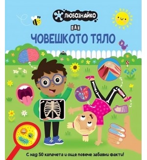 Любознайко: Човешкото тяло