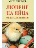 Люпене на яйца