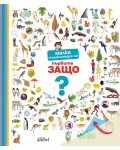 Малка енциклопедия на първите Защо Малка енциклопедия на първите Защо