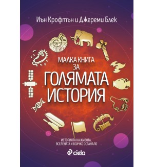 Малка книга за голямата история