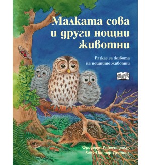 Малката сова и други нощни животни