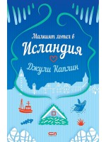 Малкият хотел в Исландия