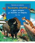 Малкото енотче и други истории за животни от Америка