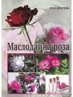 Маслодайна роза