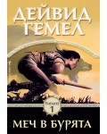 Меч в бурята (Риганте 1)