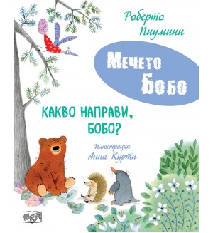 Мечето Бобо: Какво направи, Бобо?