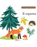 Монтесори: В гората
