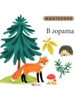 Монтесори: В гората