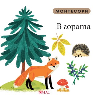 Монтесори: В гората