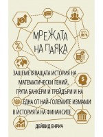 Мрежата на паяка (Дейвид Енрич)