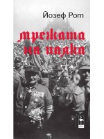 Мрежата на паяка