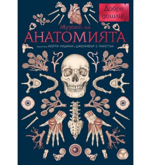 Музеят на анатомията (Добре дошли в музея 2) Музеят на анатомията (Добре дошли в музея 2)