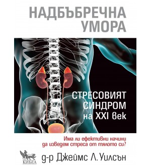 Надбъбречна умора. Стресовият синдром на ХХI век