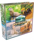 Настолна игра Keystone: North America (Deluxe Edition) - Семейна