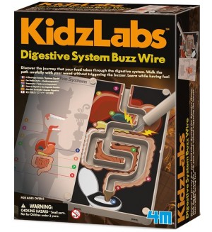  Научен комплект 4M Kidz Labs - Звукова инсталация на храносмилателната система
