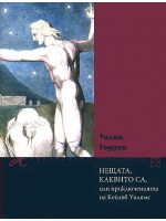 Нещата, каквито са, или приключенията на Кейлъб Уилямс