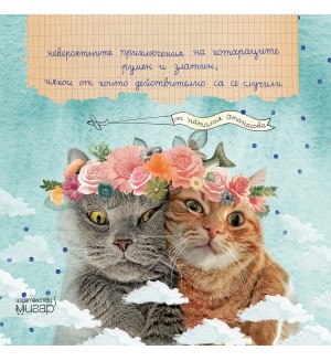 Невероятните приключения на котараците Румен и Златин, някои от които действително са се случили
