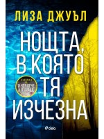 Нощта, в която тя изчезна