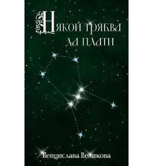 Някой трябва да плати (Венцислава Великова)