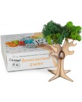 Образователен комплект Stemico - Вечнозелено дърво