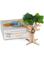 Образователен комплект Stemico - Вечнозелено дърво
