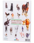 Образователно табло Top Kids - Домашни животни