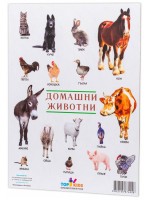 Образователно табло Top Kids - Домашни животни