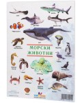 Образователно табло Top Kids - Морски животни