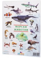 Образователно табло Top Kids - Морски животни