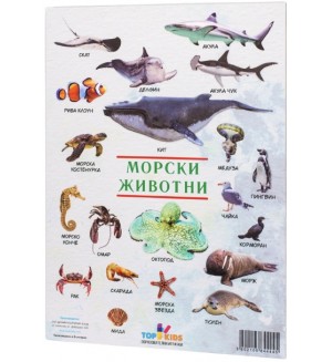 Образователно табло Top Kids - Морски животни