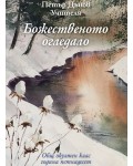 Общ окултен клас, година 15: Божественото огледало