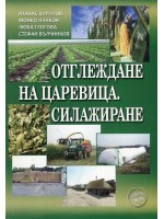 Отглеждане на царевица. Силажиране
