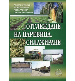 Отглеждане на царевица. Силажиране