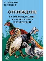 Отглеждане на токачки, фазани, гълъби за месо и пъдпъдъци (Еньовче)