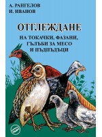 Отглеждане на токачки, фазани, гълъби за месо и пъдпъдъци (Еньовче)